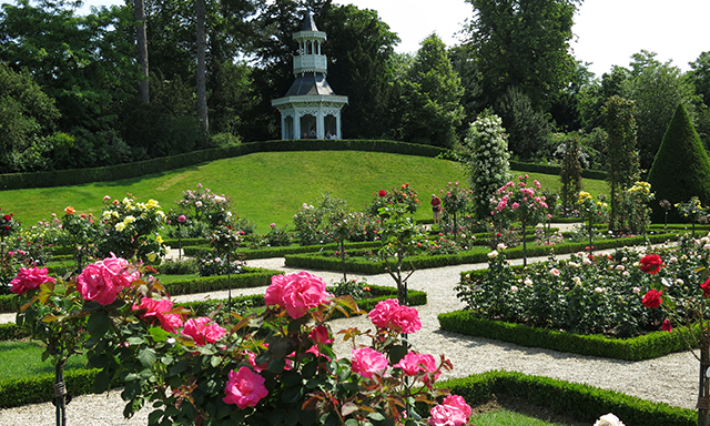 demande en mariage Paris jardin de bagatelle