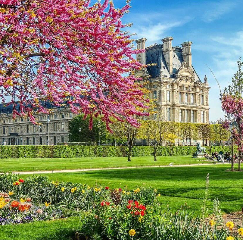Parc parisien au printemps